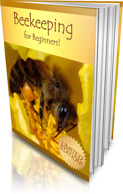 Beekeeping for Beginners eBook