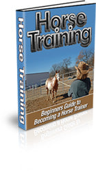 Beginners Guide to Horse Training eBook