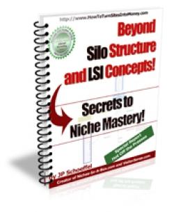 Beyond Silo Structure and LSD Concepts eBook