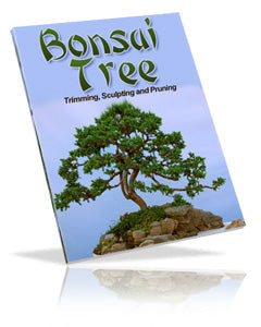 Bonsai Tree eBook