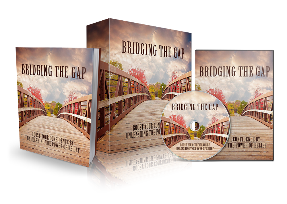 Bridging The Gap eBook