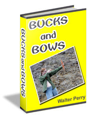 Bucks and Bows eBook