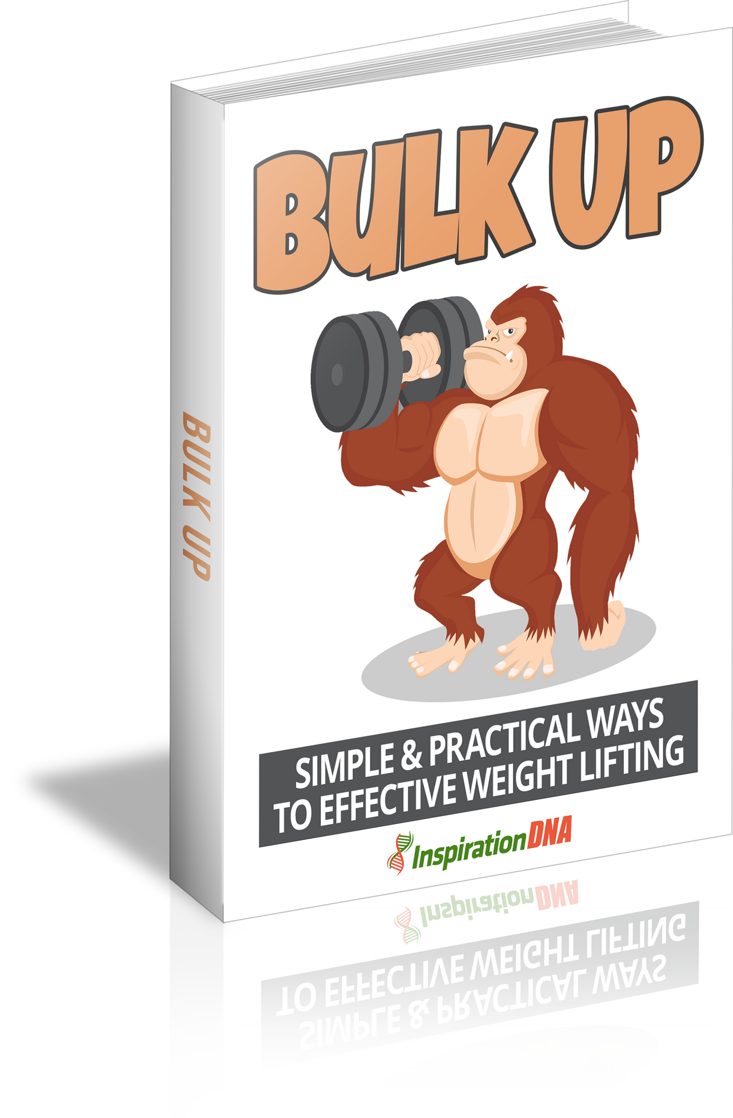 Bulk Up eBook