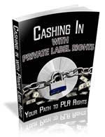 Cashing In With Private Label Rights eBook