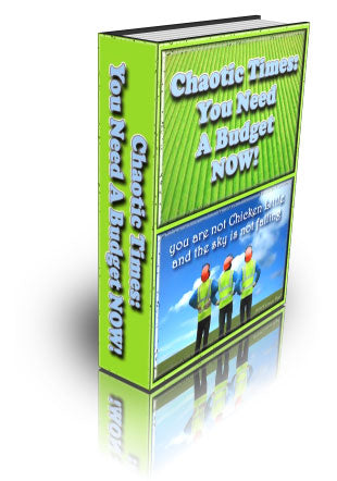 Chaotic Times eBook