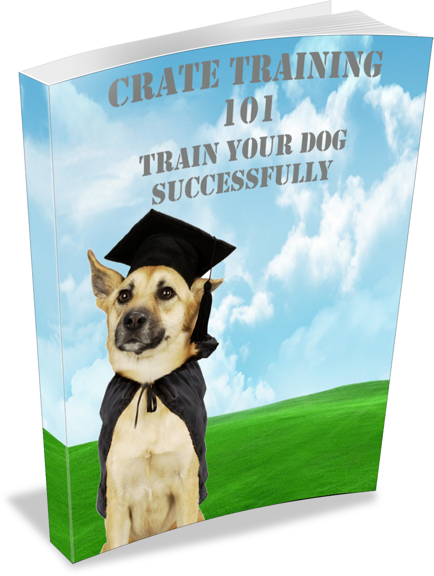 Crate Training 101 eBook