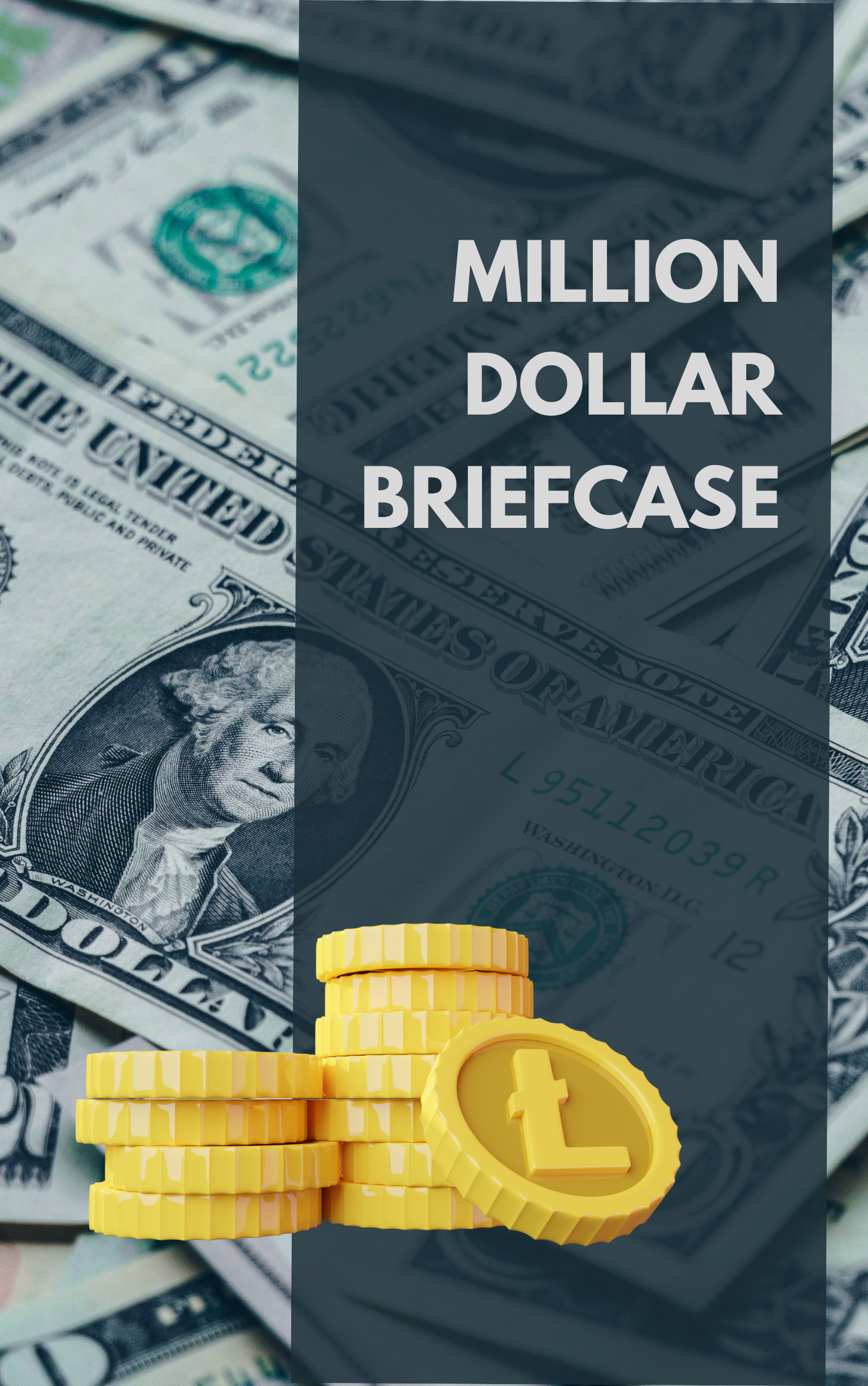 Million Dollar Briefcase eBook