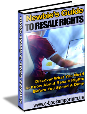 Newbies Guide To Resale Rights eBook