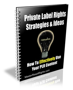 PLR Strategies and Ideas eBook