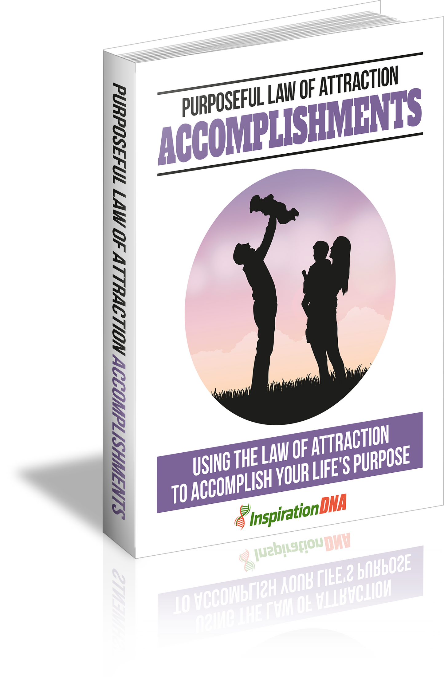 Purposeful Law Of Attraction Accomplishments eBook