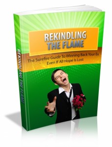 Rekindling The Flame eBook