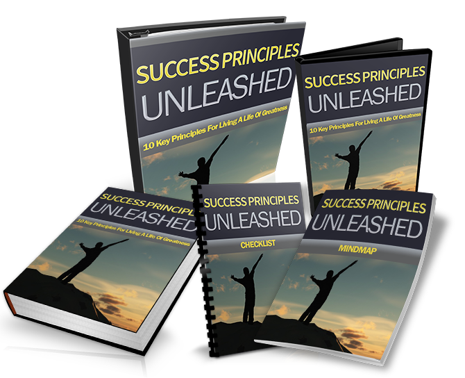 Success Principles Unleashed eBook