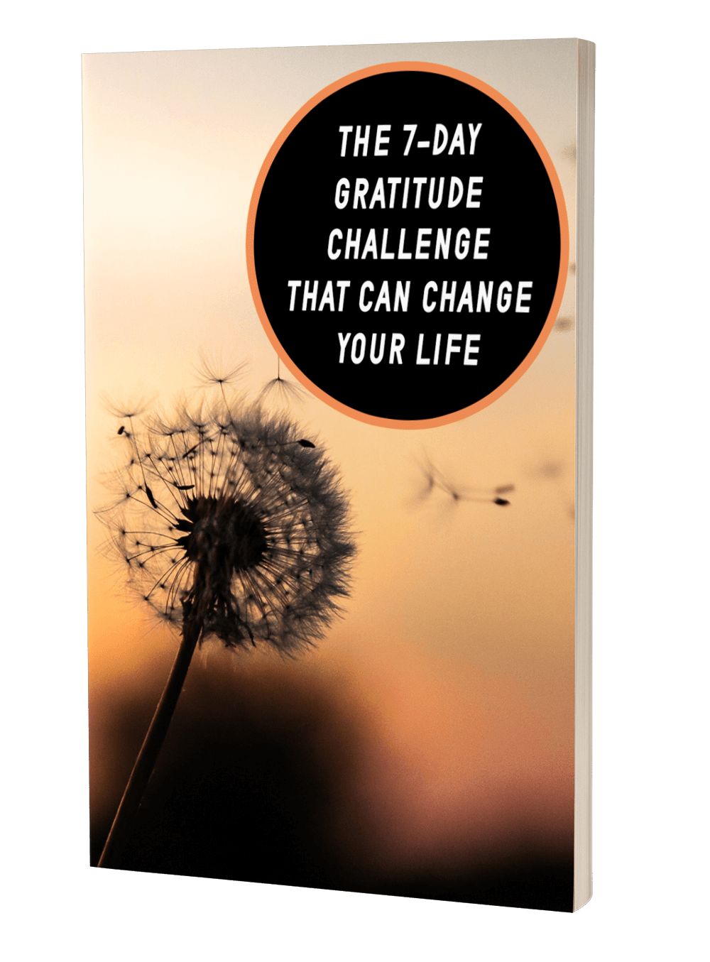 The 7 Day Gratitude Challenge That Can Change Your Life eBook