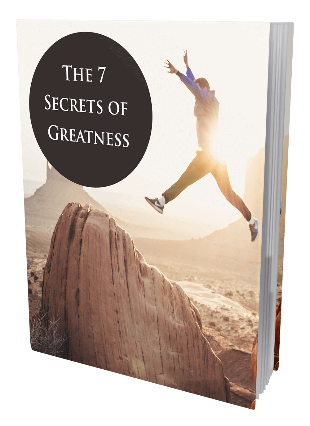 The 7 Secrets Of Greatness eBook