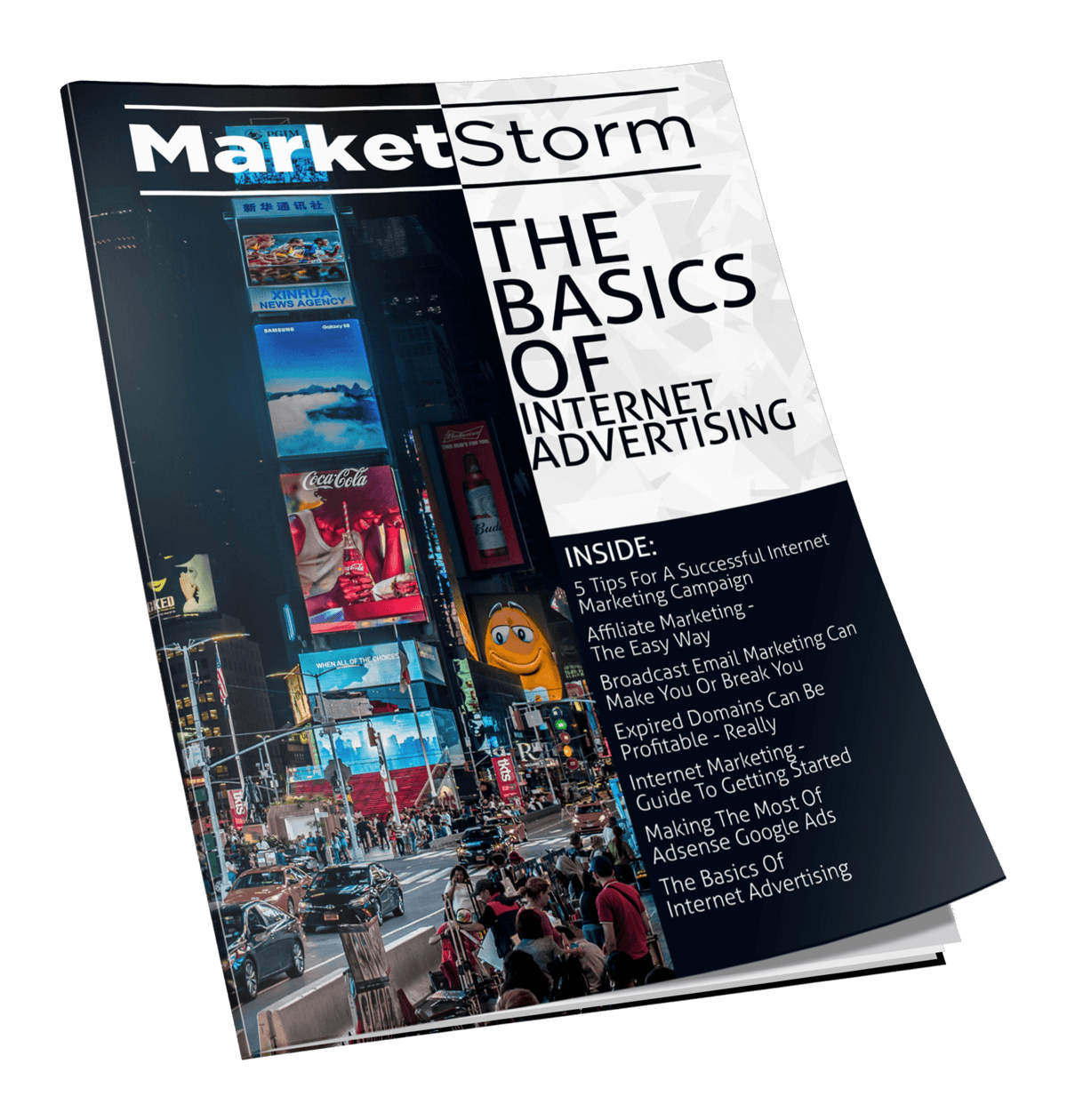 The Basics of Intenet Advertising eBook
