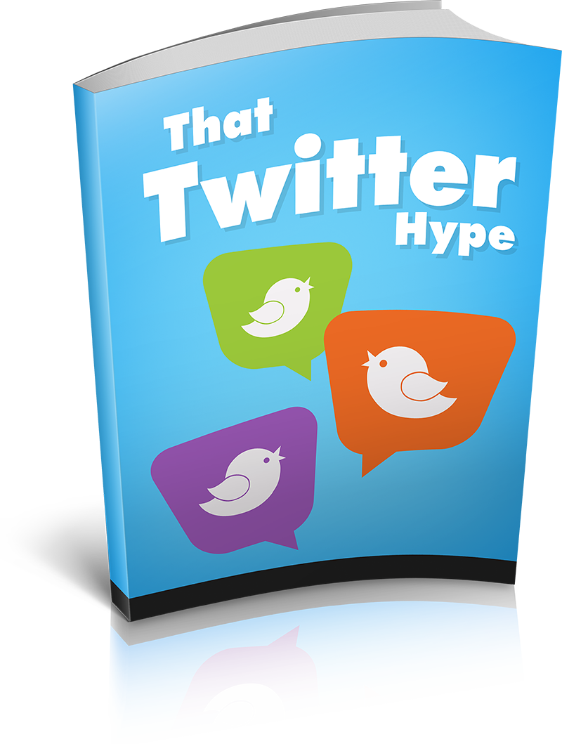 The Twitter Craze eBook