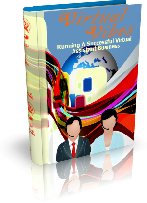 Virtual Vibes eBook