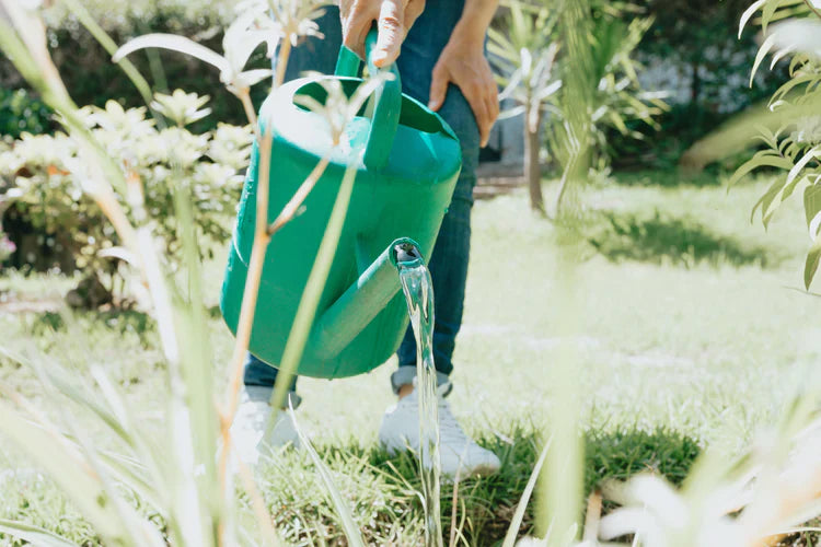 Gardening eBooks