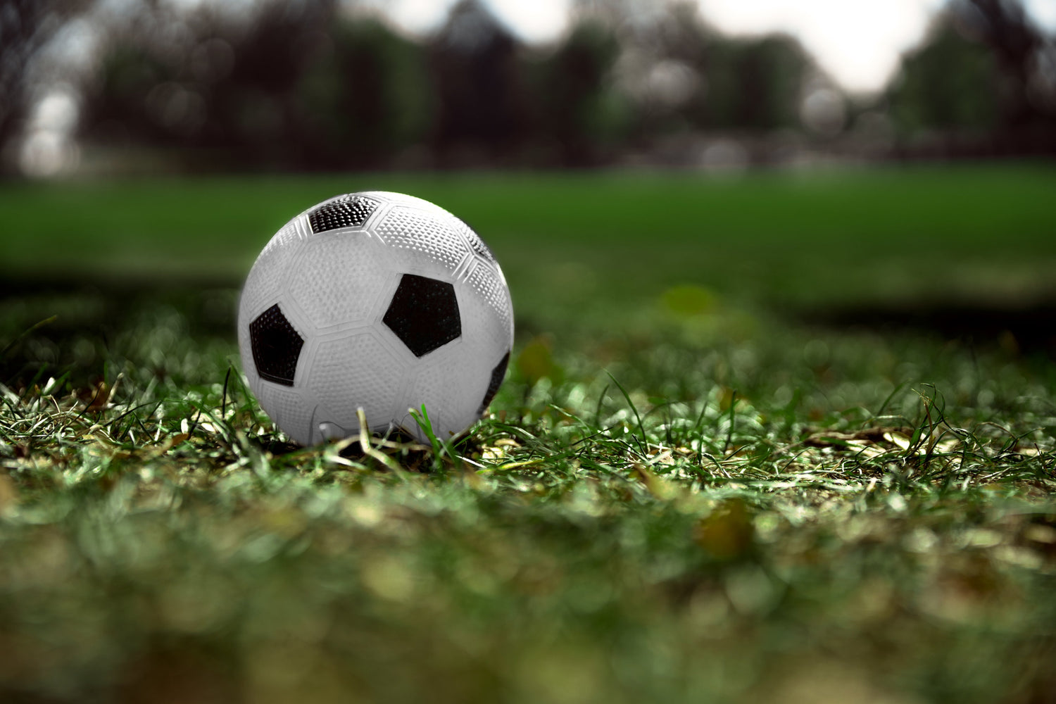 Sports eBooks