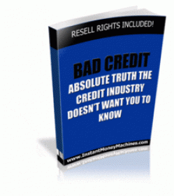 Bad Credit eBook