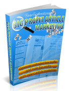 Big Profit Article Marketing eBook