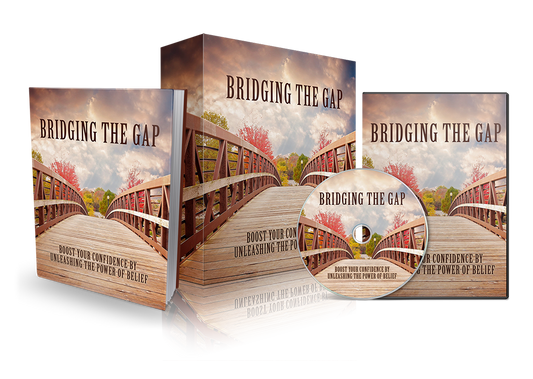 Bridging The Gap eBook