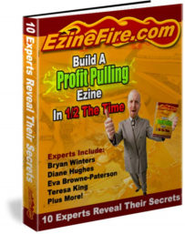 Build A Profit Pulling Ezine In 12 The Time eBook