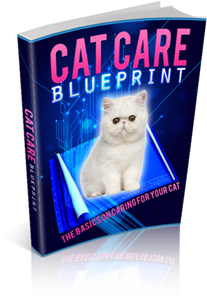 Cat Care Blueprint eBook