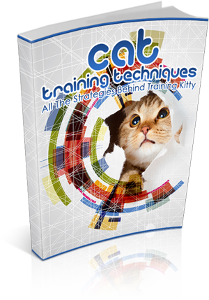 Cat Training Techniques eBook