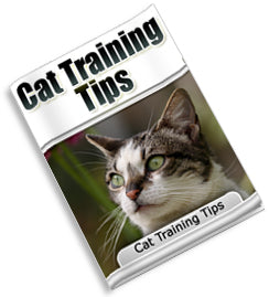 Cat Training Tips eBook