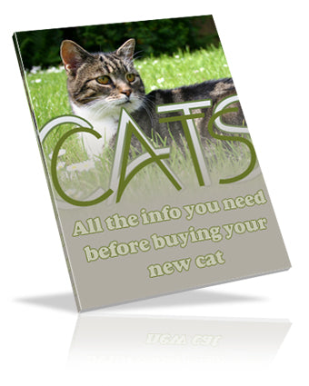 Cats eBook