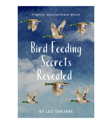 Bird Feeding Secrets Revealed