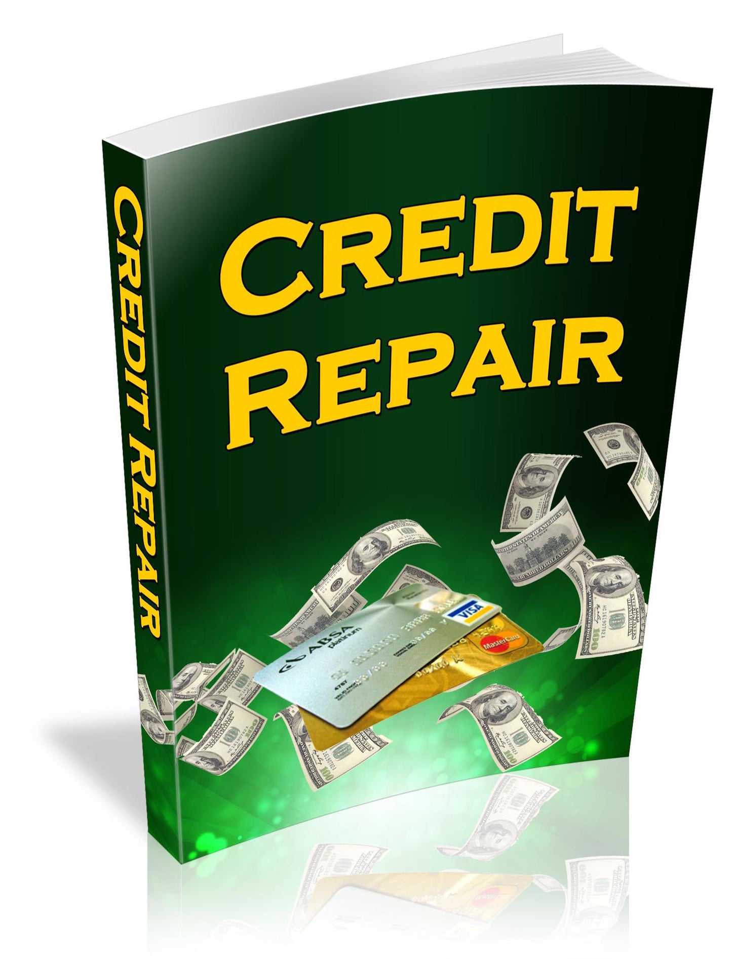 Credit Repair Guide With Audio eBook