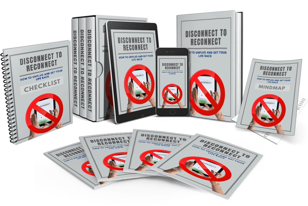 Disconnect To Reconnect eBook