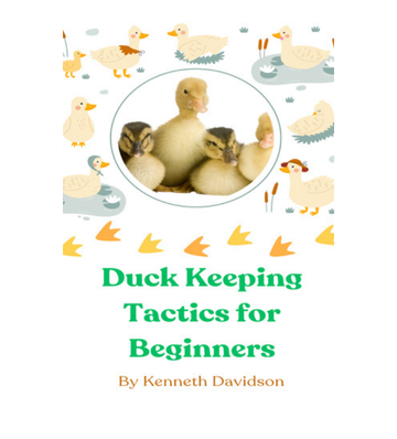 Duck Keeping Tactics for Beginners