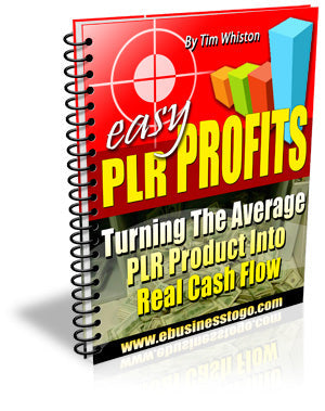 Easy PLR Profits eBook
