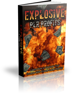 Explosive PLR Profits eBook