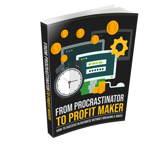 From Procrastinator to Profit Maker eBook