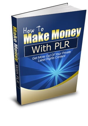 How To Make Money With PLR eBook