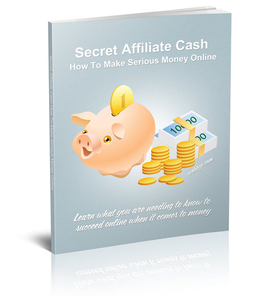 How To Make Serious Money Online eBook