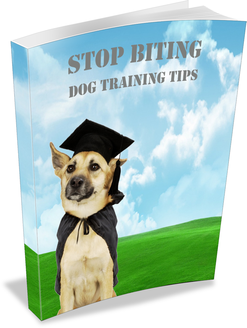 Stop Biting eBook