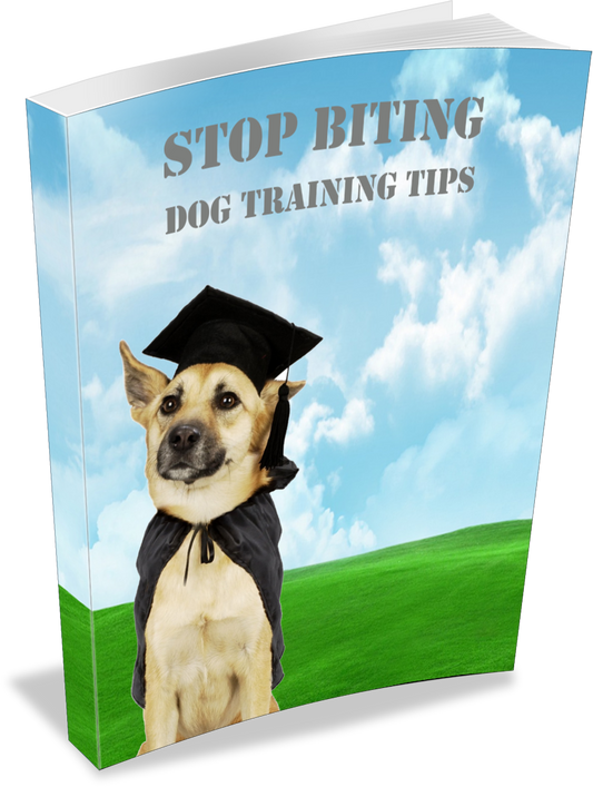 Stop Biting eBook