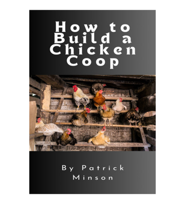 How to Build a Chicken Coop