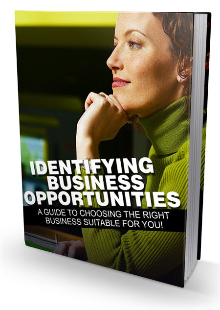 Identifying Business Opportunities eBook