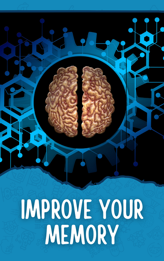 Improve Your Memory eBook