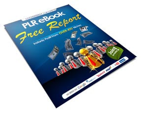 Instantly Profit From PLR eBook