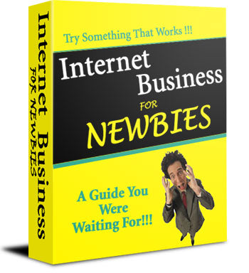Internet Business For Newbies eBook