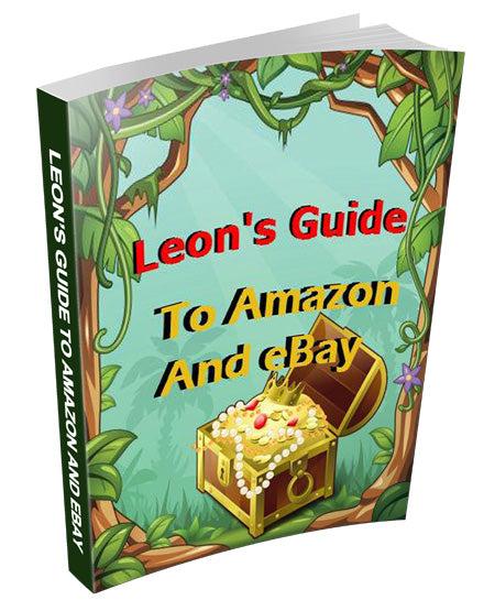 Leons Guide To Amazon and Ebay eBook
