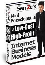 Low Cost High Profits Internet Business Models eBook