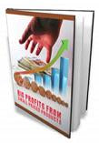 Big Profits From Small Priced Products eBook